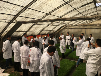 “顶苗新”东北上市会暨使用技术交流会 环保技术推广助力绿色农业